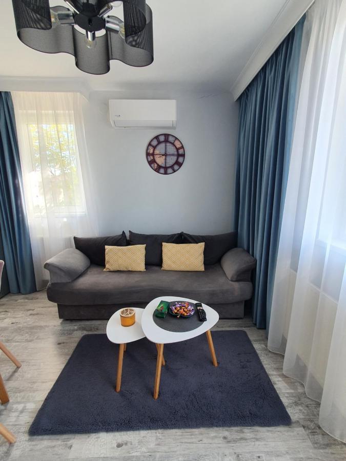 Apartament Alex シビウ エクステリア 写真